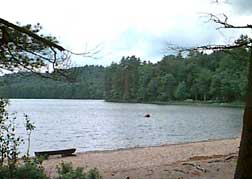 View of Brown Tract pond from the campground's beach.